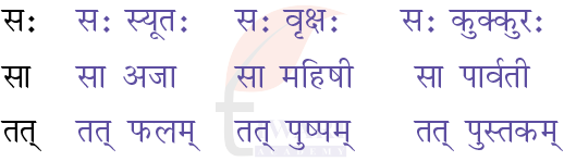 कक्षा 6 संस्कृत दीपकम् अध्याय 3 के प्रश्न 2 के उत्तर का चित्र