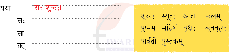 कक्षा 6 संस्कृत दीपकम् अध्याय 3 के प्रश्न 2 का चित्र