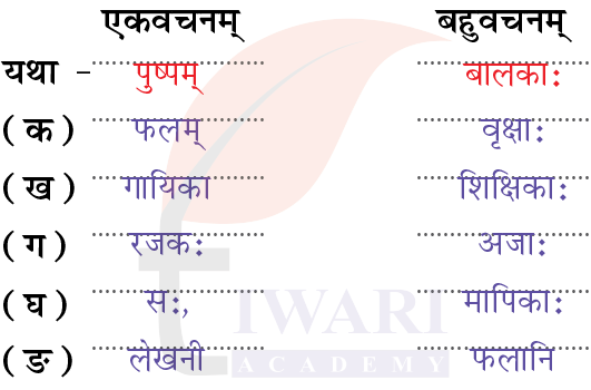 कक्षा 6 संस्कृत दीपकम् अध्याय 3 के प्रश्न 4 के उत्तर का चित्र