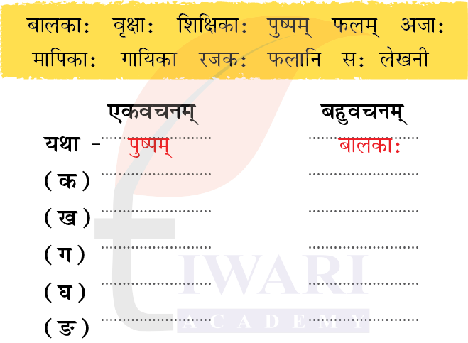 कक्षा 6 संस्कृत दीपकम् अध्याय 3 के प्रश्न 4 का चित्र