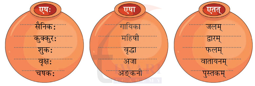 कक्षा 6 संस्कृत दीपकम् अध्याय 3 के प्रश्न 5 के उत्तर का चित्र