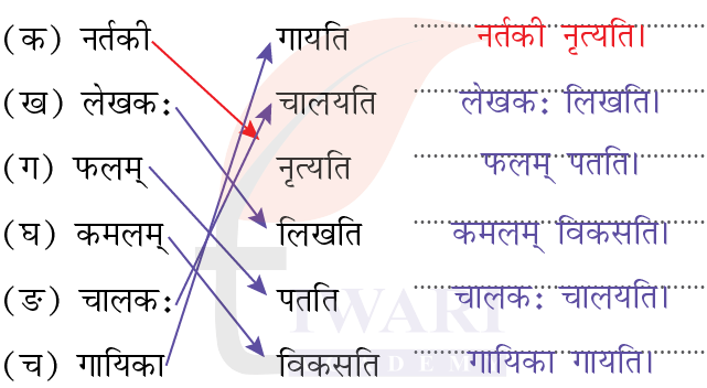 कक्षा 6 संस्कृत दीपकम् अध्याय 3 के प्रश्न 8 के उत्तर का चित्र