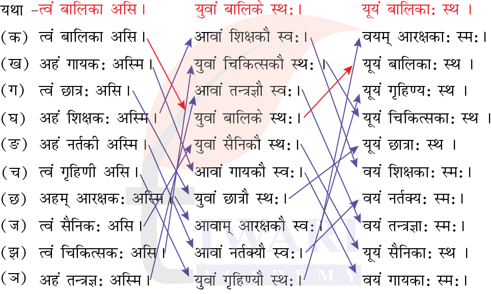 कक्षा 6 संस्कृत दीपकम् अध्याय 4 के प्रश्न 4 के उत्तर का चित्र