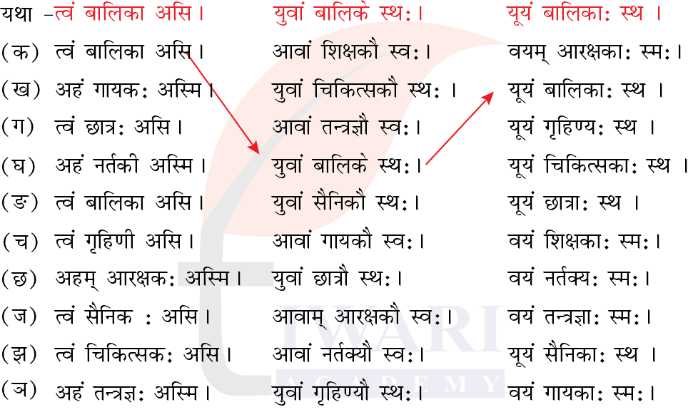 कक्षा 6 संस्कृत दीपकम् अध्याय 4 के प्रश्न 4 का चित्र