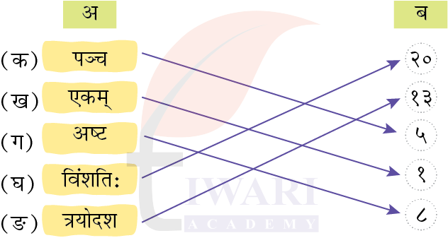 कक्षा 6 संस्कृत दीपकम् अध्याय 5 के प्रश्न 4 के उत्तर का चित्र