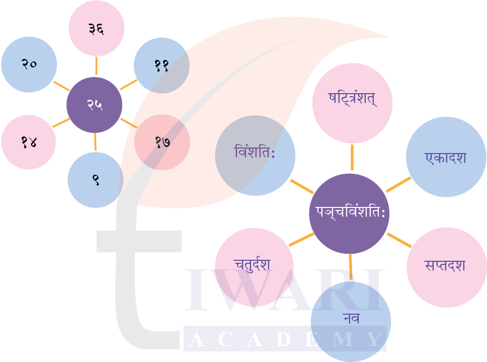 कक्षा 6 संस्कृत दीपकम् अध्याय 5 के प्रश्न 7 के उत्तर का चित्र