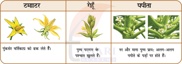 कक्षा 9 विज्ञान अन्वेषण अध्याय 11 के प्रश्न 11 का चित्र