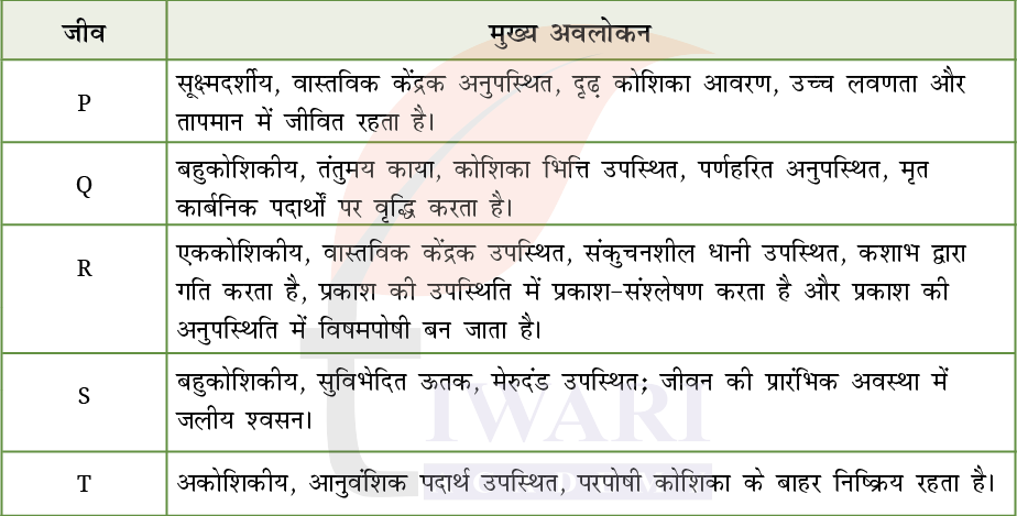 कक्षा 9 विज्ञान अन्वेषण अध्याय 12 के प्रश्न 15 का चित्र