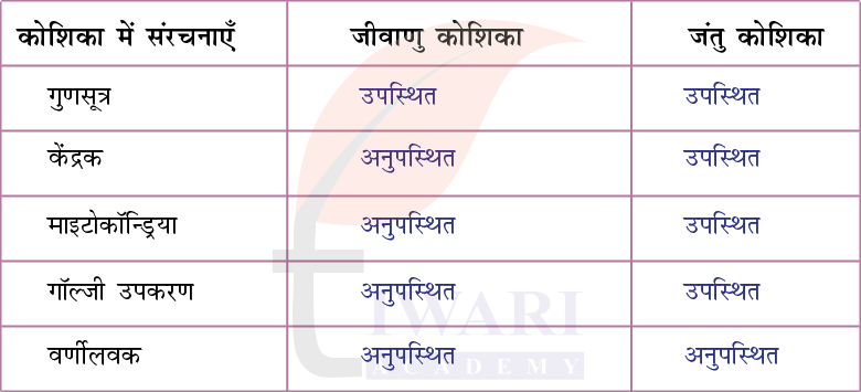 कक्षा 9 विज्ञान अन्वेषण अध्याय 2 अभ्यास प्रश्न 9 के उत्तर का चित्र