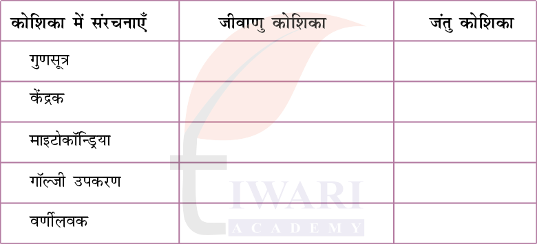 कक्षा 9 विज्ञान अन्वेषण अध्याय 2 अभ्यास प्रश्न 9 का चित्र
