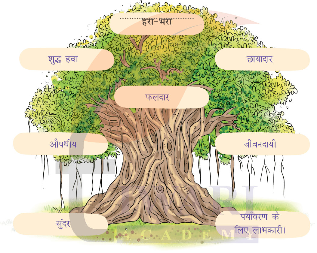 कक्षा 4 हिंदी वीणा अध्याय 3 पेज 32 - वृक्ष एक, गुण अनेक - के प्रश्न 1 के उत्तर का चित्र