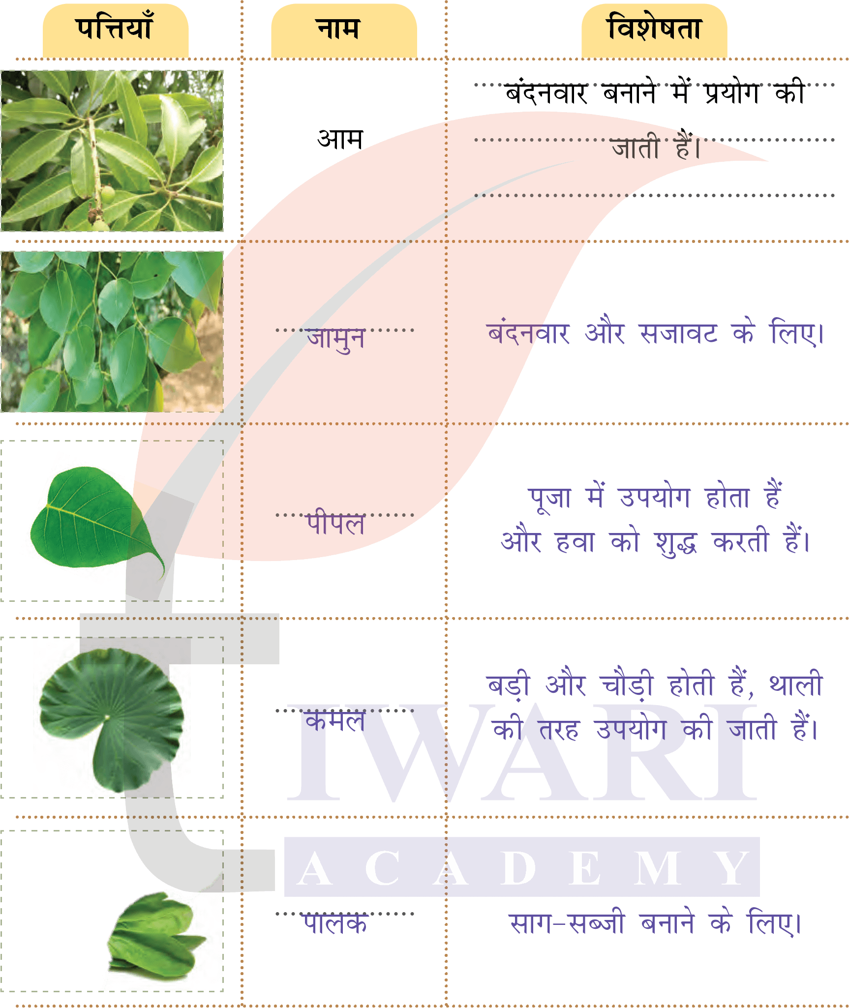 कक्षा 4 हिंदी वीणा अध्याय 3 पेज 32 - वृक्ष एक, गुण अनेक - के प्रश्न 3 के उत्तर का चित्र