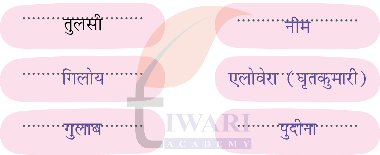 कक्षा 4 हिंदी वीणा अध्याय 3 पेज 35 - मैं नीम हूँ - प्रश्न 2 के उत्तर का चित्र